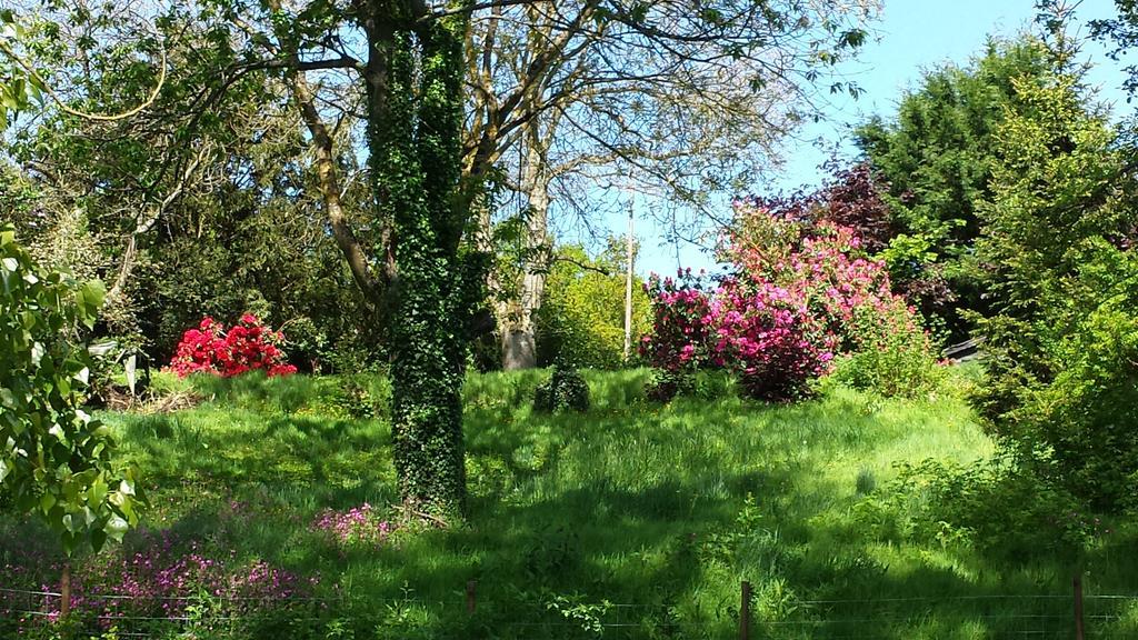 Villa Pré Le Duc Broglie Esterno foto
